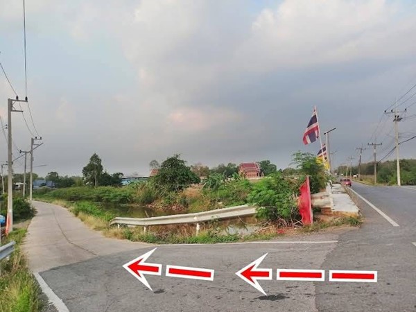 ที่ดินทำเลดีติดถนนคอนกรีตวิวริมน้ำที่หนองแคสระบุรี ต.หนองจระเข้ อ.หนองแค จ.สระบุรี T.062-1574449