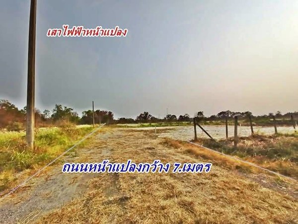 ที่ดินสวยถมสูงแล้วผ่อนได้ 4.ปี.ฟรีดอกโซนหนองจอก-สุวินทวงค์ 94/1.-T.062-1574449