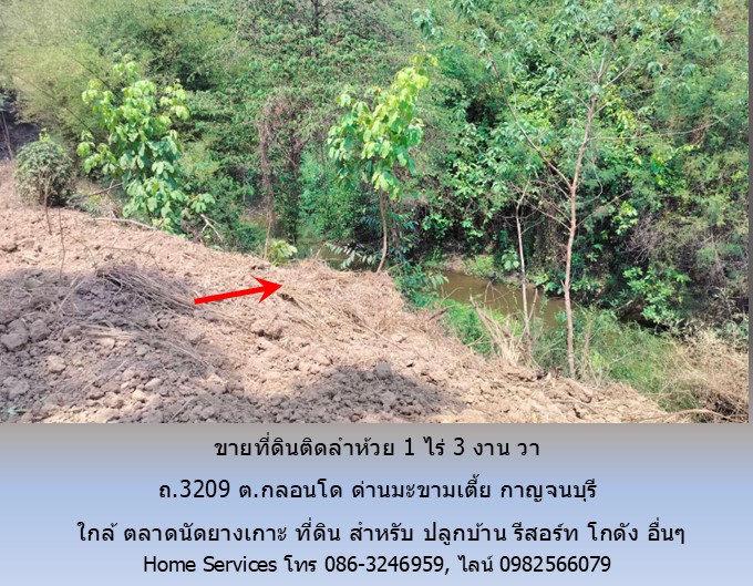 ขายที่ดินติดลำห้วย 1 ไร่ 3 งาน 65 วา ถ.3209 ต.กลอนโด ด่านมะขามเตี้ย กาญจนบุรี ใกล้ ตลาดนัดยางเกาะ สำหรับ ปลูกบ้าน รีสอร์ท โกดัง อื่นๆ
