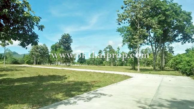 ที่ดินถมแล้ว พุหวายฮิลล์รีสอร์ท อ.ชะอำ จ.เพชรบุรี