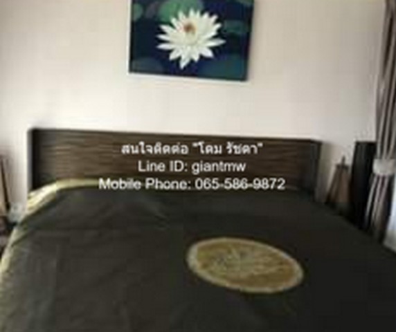 condo. แกรนด์ พาร์ค วิว Grand Park View 41ตาราง.เมตร 20000 บาท ราคาดีสุด กรุงเทพ