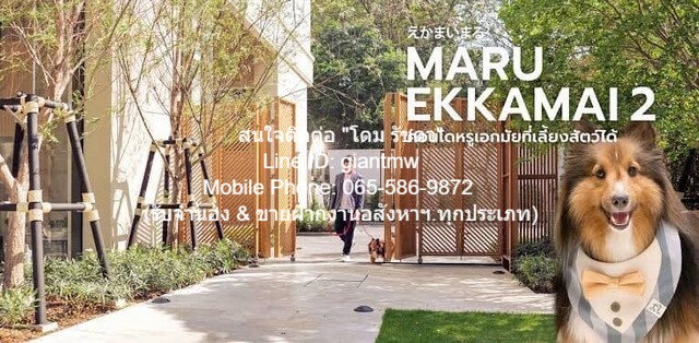 Condo. มารุ เอกมัย 2 Maru EKKAMAI 2 HOT DEAL!! กรุงเทพ