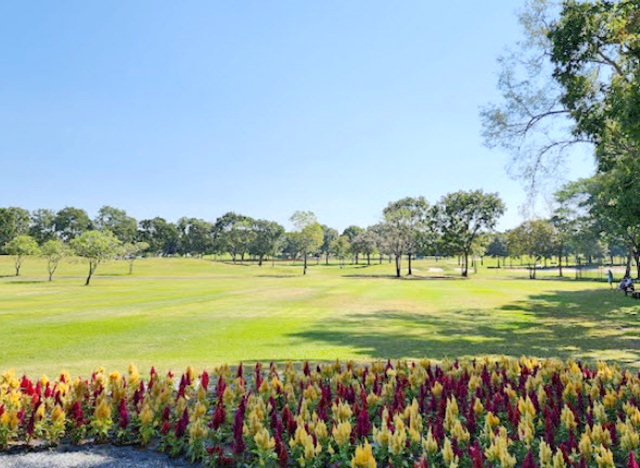 เขาใหญ่ทำเลทอง ใกล้สนามบิน Rancho Charnvee Golf Khaoyai 3.5กม. ขายที่ดินสวย พร้อมบ้านสวน 3 ไร่ 3 งาน 40ตร.วา. สิรารมย์ ป