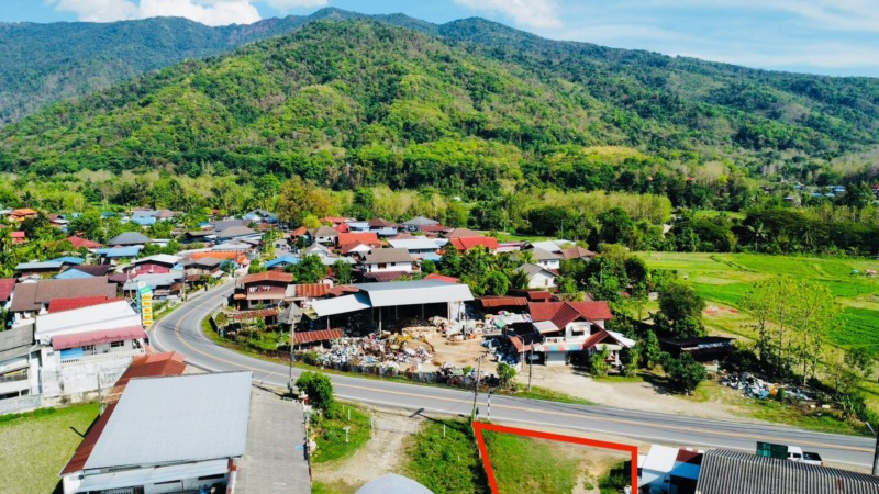 ขายที่ดิน ปัว น่าน 3 งาน 29.1 ตร.ว. ราคา 1.5 ล้าน