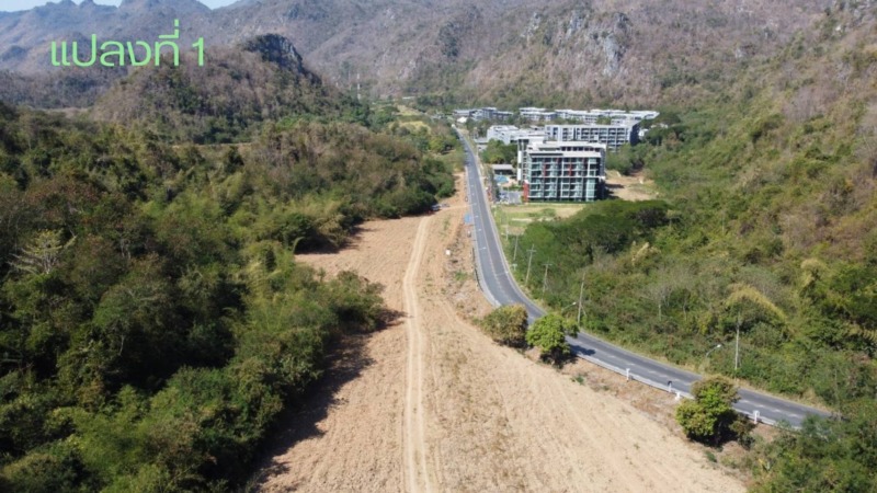 ขายที่ดิน วิวเขาสวย ใกล้เขาใหญ่ ทำเลทอง ติดเขตอุทยาน ต.พญาเย็น อ.ปากช่อง จ.นครราชสีมา
