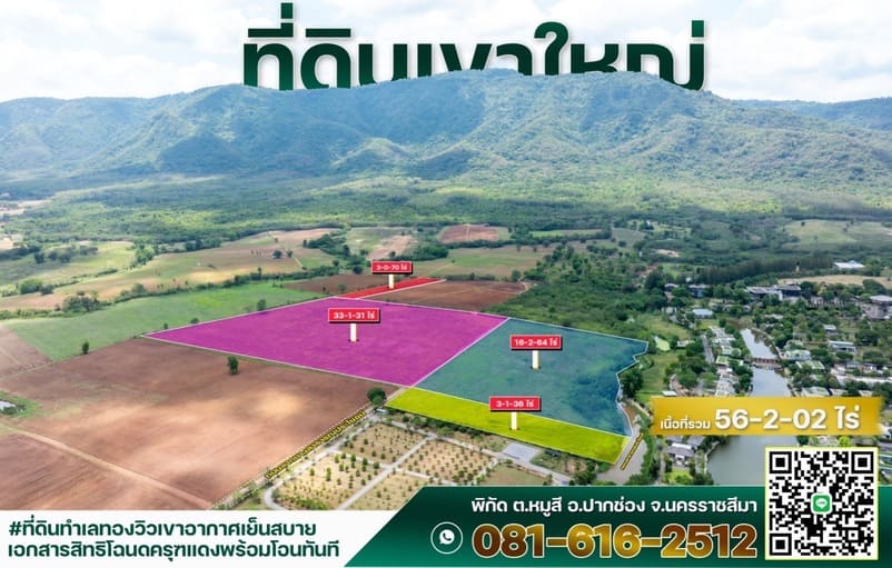 ขายที่ดิน 56 ไร่ 2 งาน 2 ตร.ว. ทําเลทอง ปากช่อง-เขาใหญ่ สนใจติดต่อ 0816162512