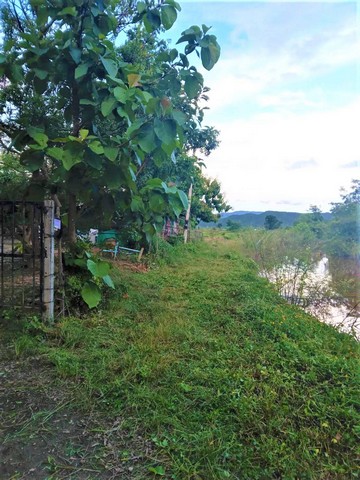 ขายที่ดินที่นา 365ตรว. 700,000บ. วิวเขา ถนน น้ำ ไฟฟ้า หลังที่ว่าการอำเภอ ต.บ้านธิ อ.บ้านธิ ลำพูน