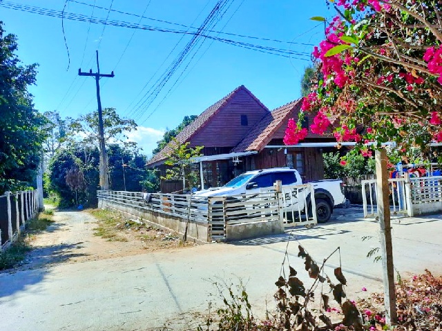 ตลาดแม่ริมพลาซ่า 3 กม.ให้เช่าบ้านเดี่ยว 1 ชั้น หลังมุม 61 ตร.วา.245 ตร.ม.แม่ริม 2 นอน เทศบาลเมืองแม่โจ้