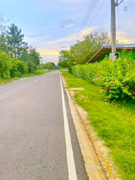รีบใช้เงิน วัดประสิทธิเวช 4.2 กม.ขาย ที่ดิน หนองเสือ 250 ตร.วา. ติดถนนสาธารณะ ลาดยางแล้ว ถ.รังสิต-นครนายก คลอง 14-15 ปทุ