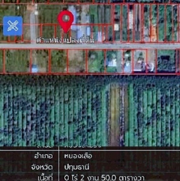 รีบใช้เงิน วัดประสิทธิเวช 4.2 กม.ขาย ที่ดิน หนองเสือ 250 ตร.วา. ติดถนนสาธารณะ ลาดยางแล้ว ถ.รังสิต-นครนายก คลอง 14-15 ปทุ