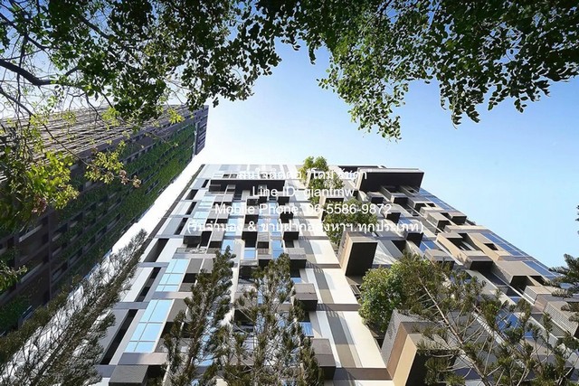 condo. ไอดีโอ มอร์ฟ 38 Ideo Morph 38 38 SQUARE METER 1ห้องนอน ใกล้กับ รถไฟฟ้า BTS ทองหล่อ คุ่มค่า เป็นคอนโดพร้อมอยู่ที่ม