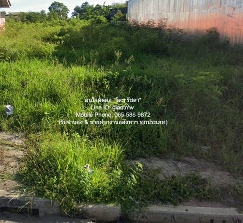 ที่ดิน ขายที่ดินถมแล้ว 11-1-65.7 ไร่ ติดถนนเพชรเกษม (หมายเลข 4) ปราณบุรี จ.ประจวบคีรีขันธ์ พื้นที่เท่ากับ 11 ไร่ 1 ngan