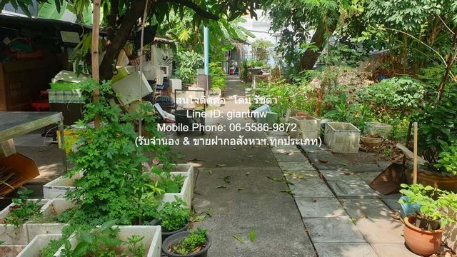 ที่ดิน ขายที่ดินบ้านสวนแปลงใหญ่ ใจกลางเมือง เนื้อที่ 493 ตร.ว. (ใกล้ MRT พระราม 9) 120 ล้านบาท 120000000 B. พ.ท. 93 sq.w