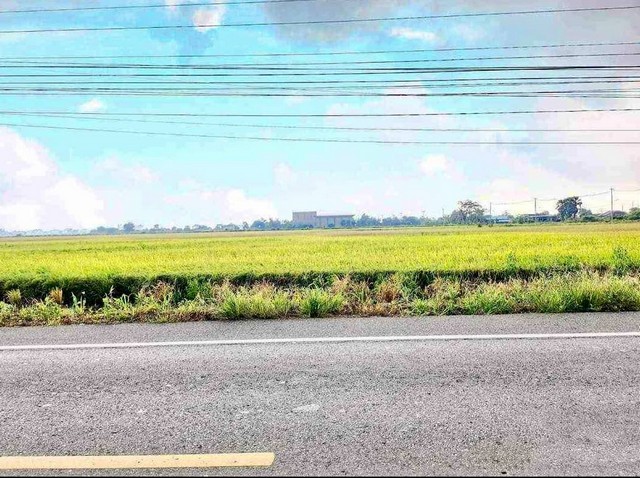 ขายที่ดินหน้ากว้างฉะเชิงเทรา อยู่ในแหล่งความเจริญเเดินทางสะดวก ถนนกว้างมาก มีไฟฟ้า3 เฟส หน้ากว้าง 400 เมตร พื้นที่สีเหลื