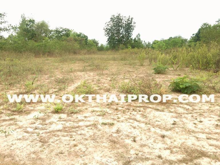ที่ดินถมแล้ว พุหวายฮิลล์รีสอร์ท อ.ชะอำ จ.เพชรบุรี