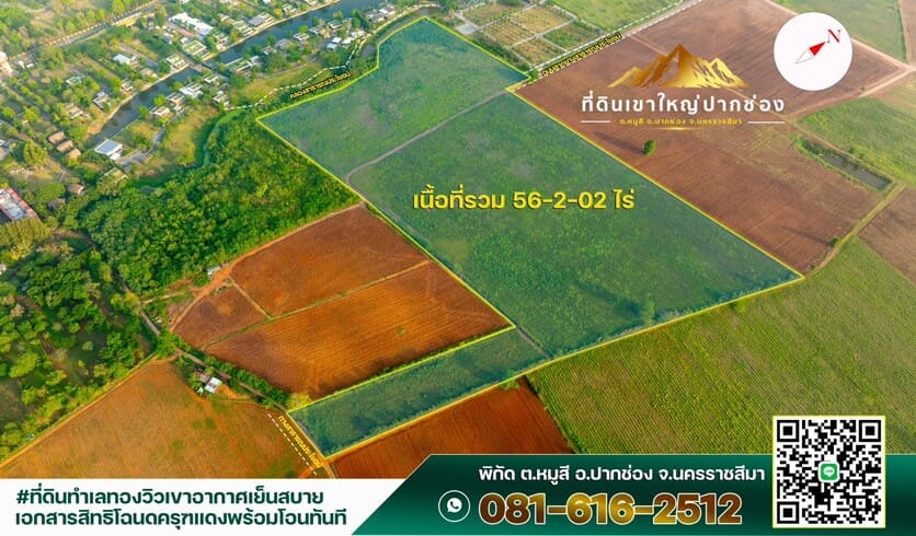 ขายที่ดิน 56 ไร่ 2 งาน 2 ตร.ว. ทําเลทอง ปากช่อง-เขาใหญ่ สนใจติดต่อ 0816162512