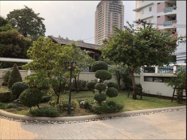 ให้เช่าบ้านเดี่ยว 2 ชั้น 800 ตรม. สวนพลูซอย 6 ย่านสาทร-เย็นอากาศ