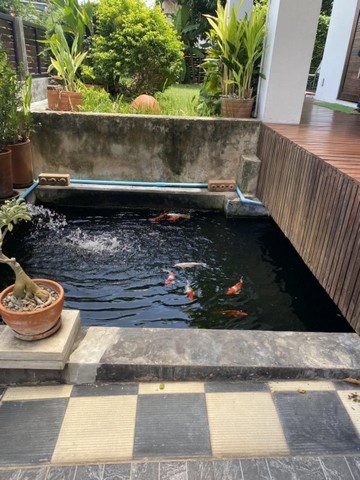 รหัสC6741 ให้เช่าบ้านเดี่ยวย่านดอนเมือง สรงประภา ซอยสรณคมณ์ ใกล้โรงเรียนนานาชาติ Harrow