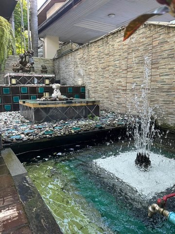 ขายบ้านเดี่ยว3หลังในพื้นที่เดียวกัน ติดคลอง ย่านสวนหลวง หมู่บ้านปัญญา ซอยพัฒนาการ 30 ทะลุซอยอ่อนนุช 17ใกล้ โรงเรียนนานาช