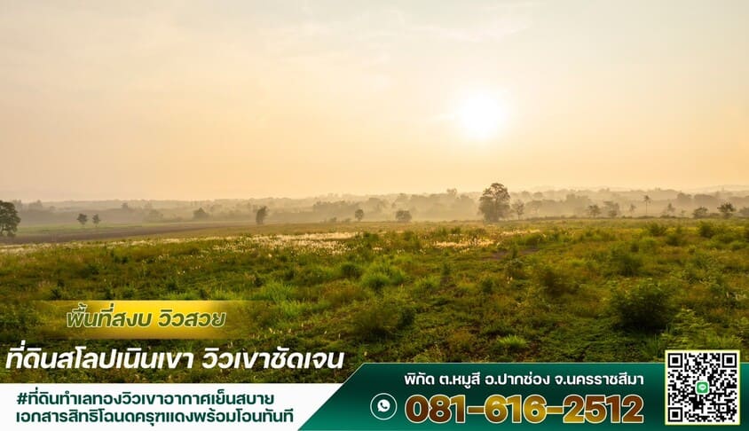 ขายที่ดิน 56 ไร่ 2 งาน 2 ตร.ว. ทําเลทอง ปากช่อง-เขาใหญ่ สนใจติดต่อ 0816162512