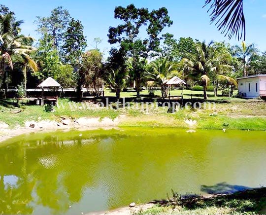 ที่ดินถมแล้ว พุหวายฮิลล์รีสอร์ท อ.ชะอำ จ.เพชรบุรี