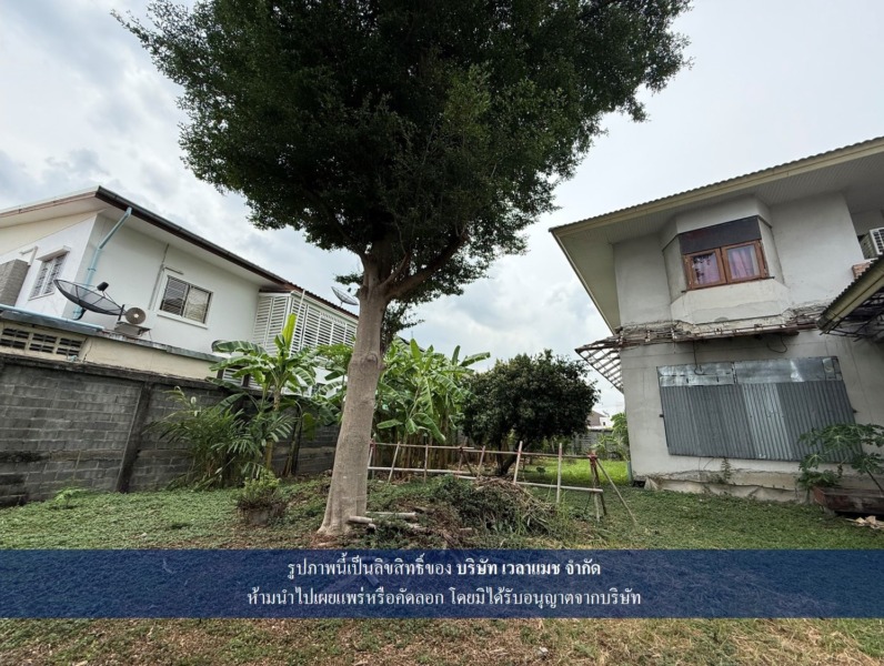 VLM 1065  ขายที่ดิน ซอยรามอินทรา 5 แยก 7 แขวงอนุสาวรีย์ เขตบางเขน ทิศเหนือ  เนื้อที่ 390 ตารางวา