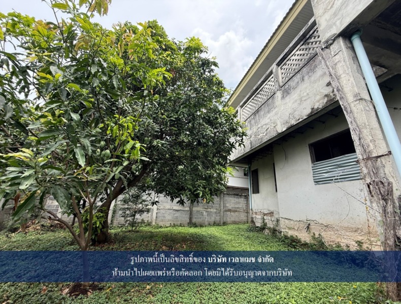 VLM 1065  ขายที่ดิน ซอยรามอินทรา 5 แยก 7 แขวงอนุสาวรีย์ เขตบางเขน ทิศเหนือ  เนื้อที่ 390 ตารางวา