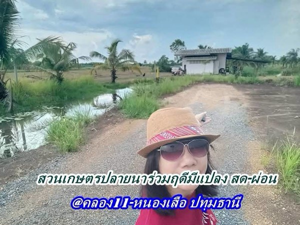 ที่ดินสวนเกษตร ชายทุ่ง ไม่ไกลกรุงแค่คลอง11 หนองเสือ ผ่อนได้สบายใจ- T.062-1574449
