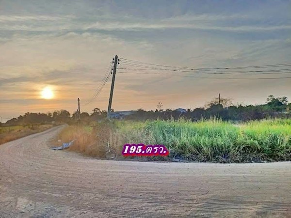 ที่ดินถมแล้วแปลงมุมติดถนน2ด้านเข้าออกได้-3.ทางที่คลอง11ธัญบุรี-T.062-1574449