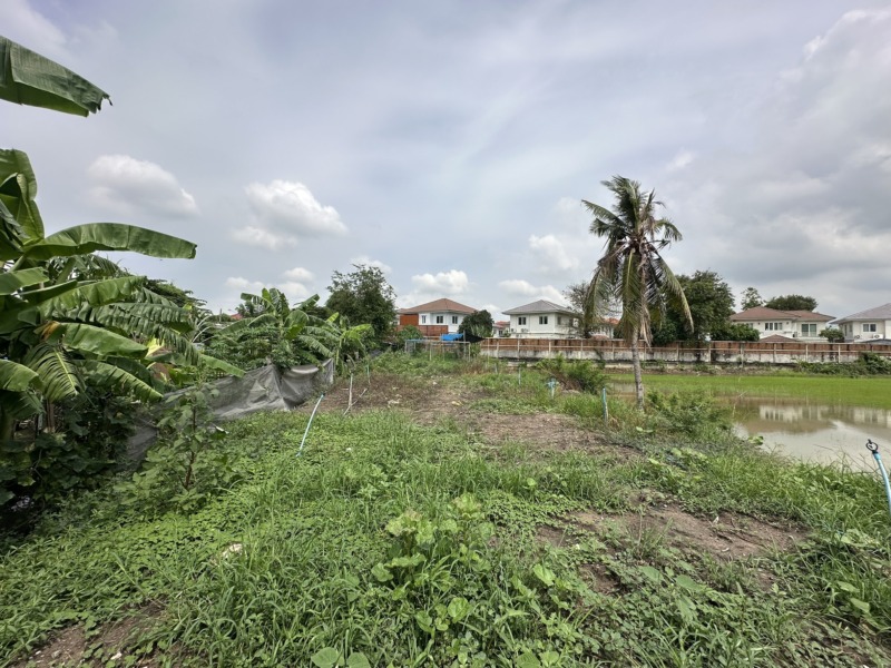ที่ดินเปล่าถมแล้ว ติดถนน โยธาธิการนนทบุรี 2003  (ขนาด 131 ตร.ว.)  คลองข่อย ปากเกร็ด นนทบุรี ใกล้ถนนราชพฤกษ์ – ชัยพฤกษ์ – ทางด่วน