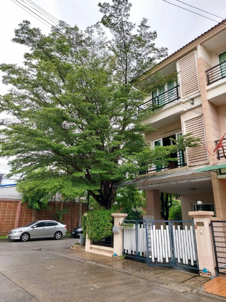ให้เช่าทาวน์โฮมย่านนวลจันทร์ โครงการหมู่บ้าน Casa City Nuanjan 2 คาซ่า ซิตี้ นวลจันทร์ 2 ใกล้จุดขึ้นลงทางด่วนเลียบทางด่วนรามอินทรา ถนนเกษตร-นวมินทร์