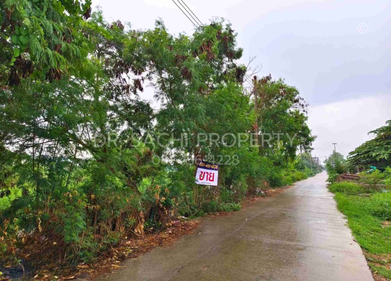 ขายที่ดิน 188 ตรว. บางบัวทอง (บ้านกล้วย-ไทรน้อย) ใกล้ เซ็นทรัล เวสต์เกต