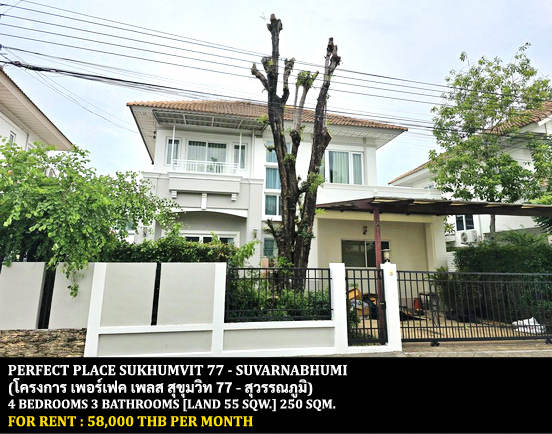 [ให้เช่า] FOR RENT PERFECT PLACE SUKHUMVIT 77 – SUVARNABHUMI / 4 bedrooms 3 bathrooms / 55 Sqw. 250 Sqm. **58,000** CLOSE TO ROBINSON LADKRABANG