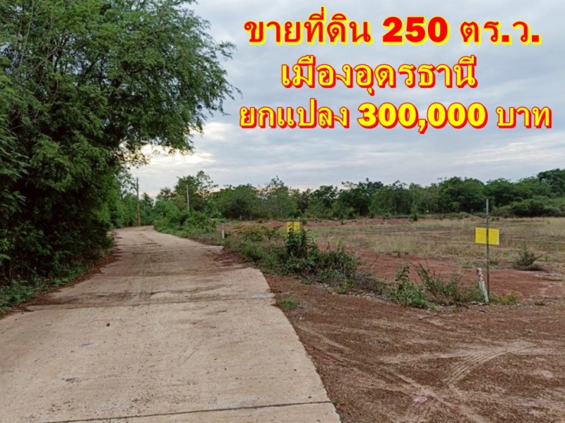 ขายที่ดิน เนื้อที่ 250 ตรว. ใกล้เมืองอุดร ติดถนนคอนกรีต มีไฟฟ้า