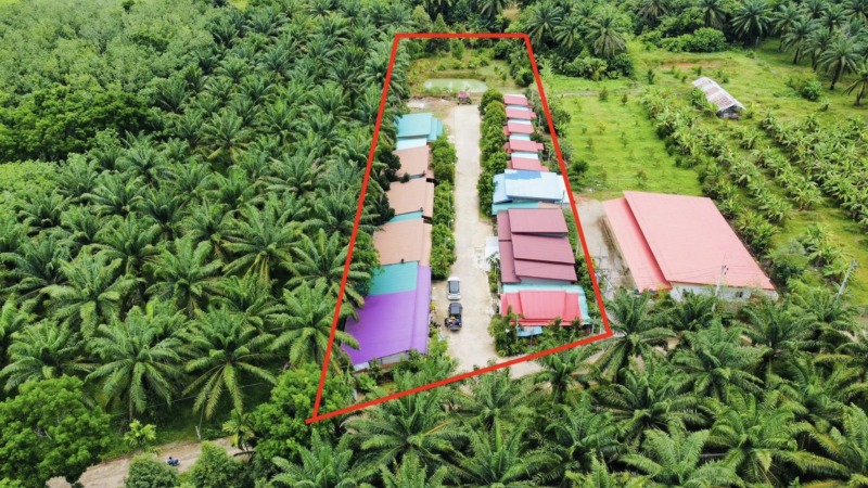 ขายกิจการ รีสอร์ท+บ้าน ท่าแซะ ชุมพร