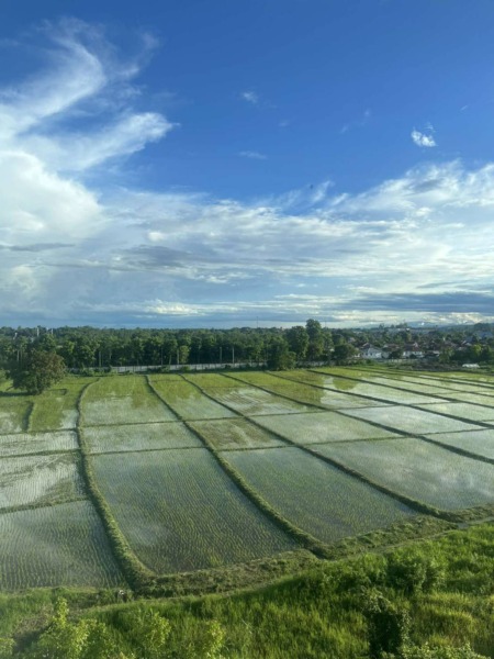 ขายพร้อมผู้เช่าถูกมาก!! North Condo Serene Lake ทำเลทอง อ.เมือง จ.เชียงใหม่ เฟอร์ครบ ใกล้ห้าง สนามบิน Yield 5-7%