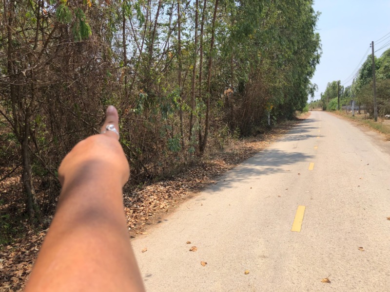 ขายที่ดิน เนื้อที่ 15-2-43 ไร่ (ครุฑแดง)