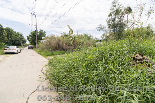 ขายที่ดิน ถมแล้ว แปลงสวย ถ.บ้านกล้วย อ.ไทรน้อย จ.นนทบุรี