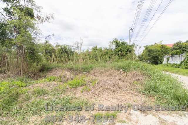 ขายที่ดิน ถมแล้ว แปลงสวย ถ.บ้านกล้วย อ.ไทรน้อย จ.นนทบุรี