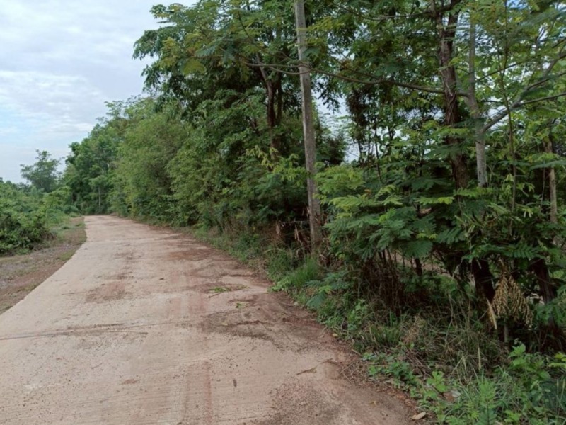 ขายที่ดิน เนื้อที่ 250 ตรว. ใกล้เมืองอุดร ติดถนนคอนกรีต มีไฟฟ้า
