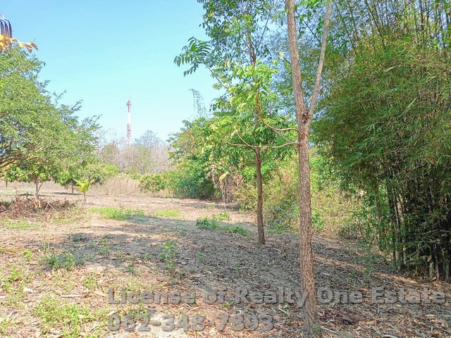 ขายที่ดิน ถมแล้วพิษณุโลก ติดถนนสายนครไทย-ชาติตระการ จ.พิษณุโลก ทำเลดี เหมาะทำโครงการบ้าน ราคาพิเศษ!