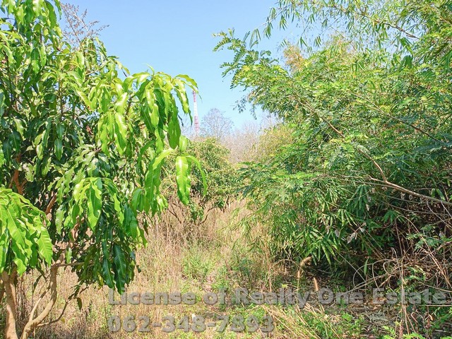 ขายที่ดิน ถมแล้วพิษณุโลก ติดถนนสายนครไทย-ชาติตระการ จ.พิษณุโลก ทำเลดี เหมาะทำโครงการบ้าน ราคาพิเศษ!