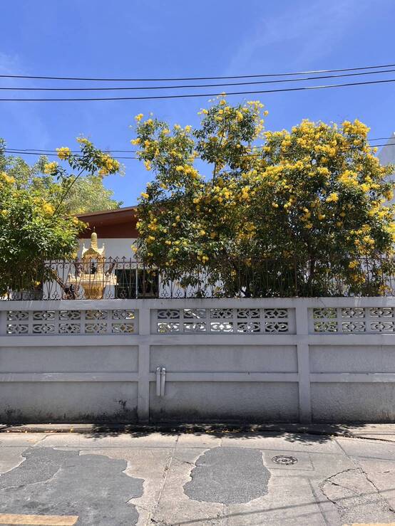 ขายที่ดิน 177 ตรว ขายตารางวาละ 350000 สุขุมวิท 65 ซอยชัยพฤกษ์ โทร 0816669559