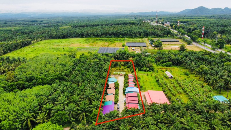ขายกิจการ รีสอร์ท+บ้าน ท่าแซะ ชุมพร