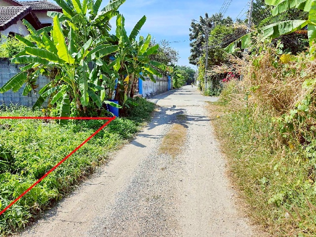 รร.นานาชาติกีรพัฒน์ 2.2 กม.7-11 ให้เช่าที่ดิน 88ตร.วา. รามอินทรา61-65 MRTวัชรพล 1.1 กม. เพลินนารี่ มอลล์ 1.1 กม.ทำเลดี ห