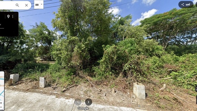 ขายที่ดิน 50 ตรว อำเภอหางดง จ.เชียงใหม่ แยกเส้นบ้านถวายออกมาประมาณ 300 เมตร ที่ดิน ผ่อนตรงเจ้าของ