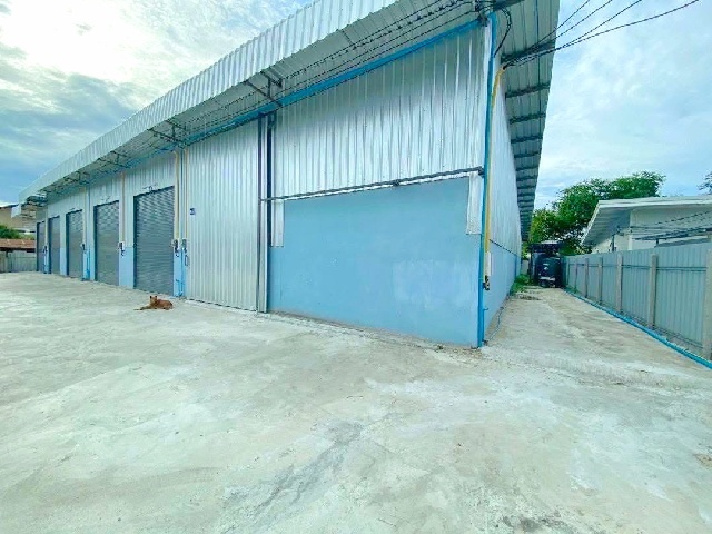 รร.ทานตะวันไตรภาษา 2.6 กม. ทำเลดี พระราม 2 น้ำ บางบอน5 ถูกกว่า 90 บาทต่อตรม. บางน้ำจืด แคราย ให้เช่าโกดังใหม่ สมุทรสาคร
