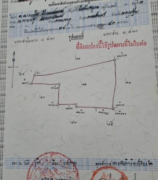 ขายที่ดิน เนื้อที่ 11-3-13 ไร่ พร้อมบ้านตึก 2 ชั้น หลังใหญ่ มีที่นา