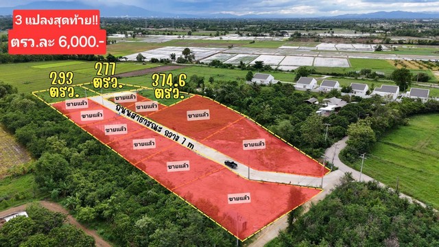 ขายที่ดินจัดสรรเริ่ม 50ตรว. 375,000บ. ฟรีโอน วิวเขา สาธารณูปโภค ใกล้เทศบาล ต.บวกค้าง อ.สันกำแพง เชียงใหม่