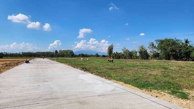 ขายที่ดินจัดสรรเริ่ม 50ตรว. 375,000บ. ฟรีโอน วิวเขา สาธารณูปโภค ใกล้เทศบาล ต.บวกค้าง อ.สันกำแพง เชียงใหม่